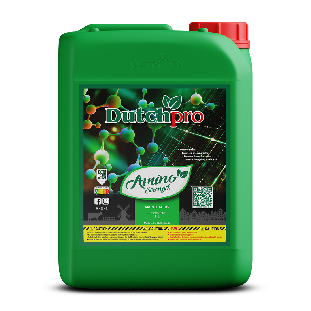Amino-Strenght-5L