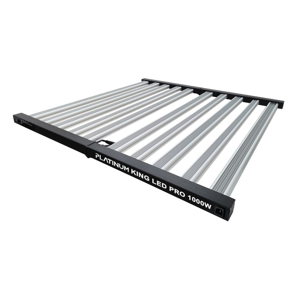 King LED PL Zwart 1000W