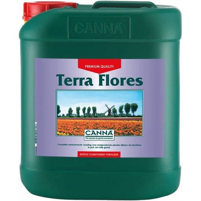 Canna Terra Flores