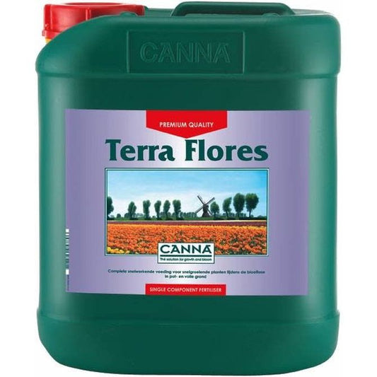 Canna Terra Flores