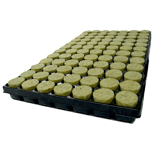 Agra Wool Plug Basic 84ST