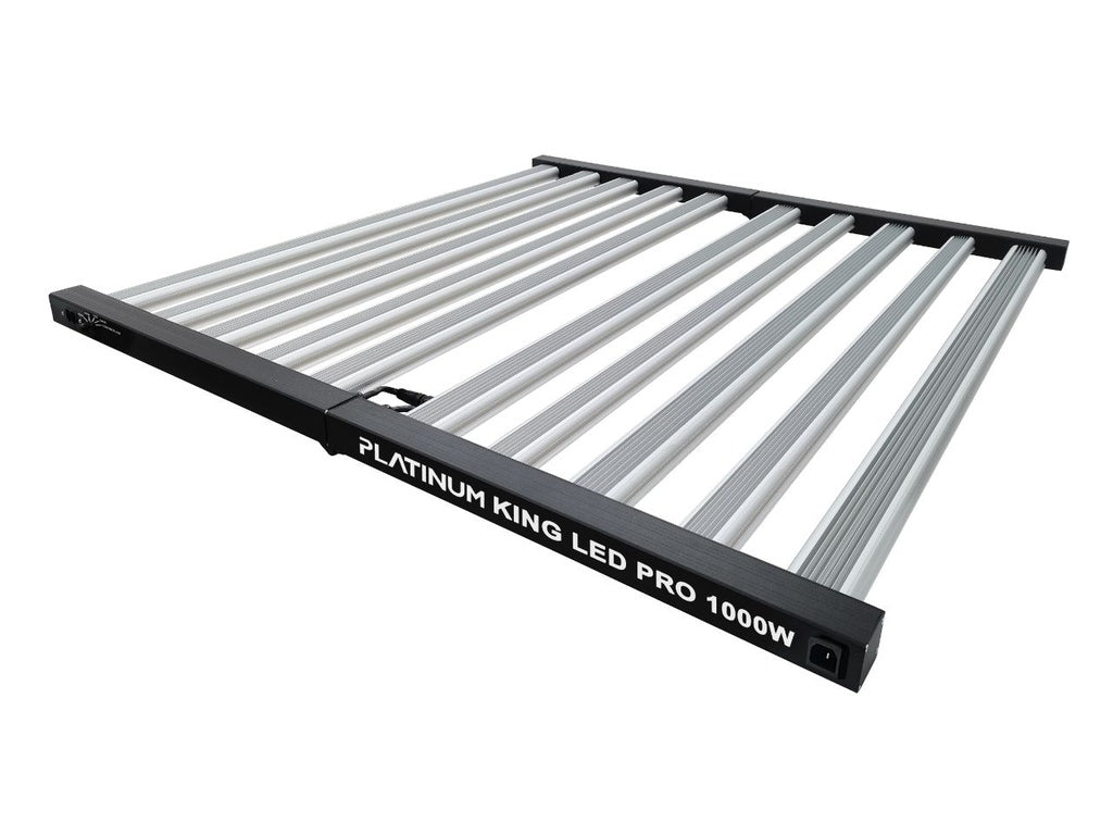 King LED PL Zwart 1000W