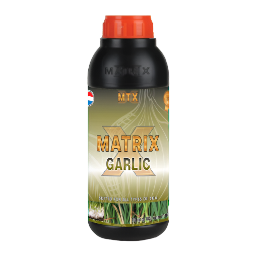 Matrix Garlic