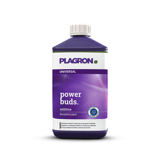 Power-Buds-1L