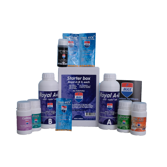Starter-Box-Royal A+B