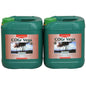 Canna GOGr Vega A+B