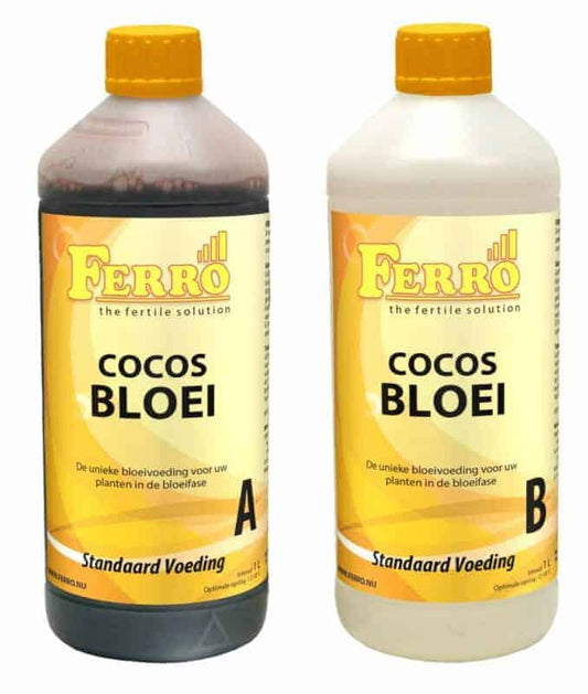 Ferro Kokos Bloei A+B