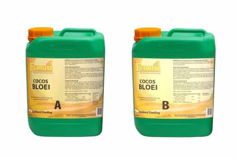 Ferro Kokos Bloei A+B