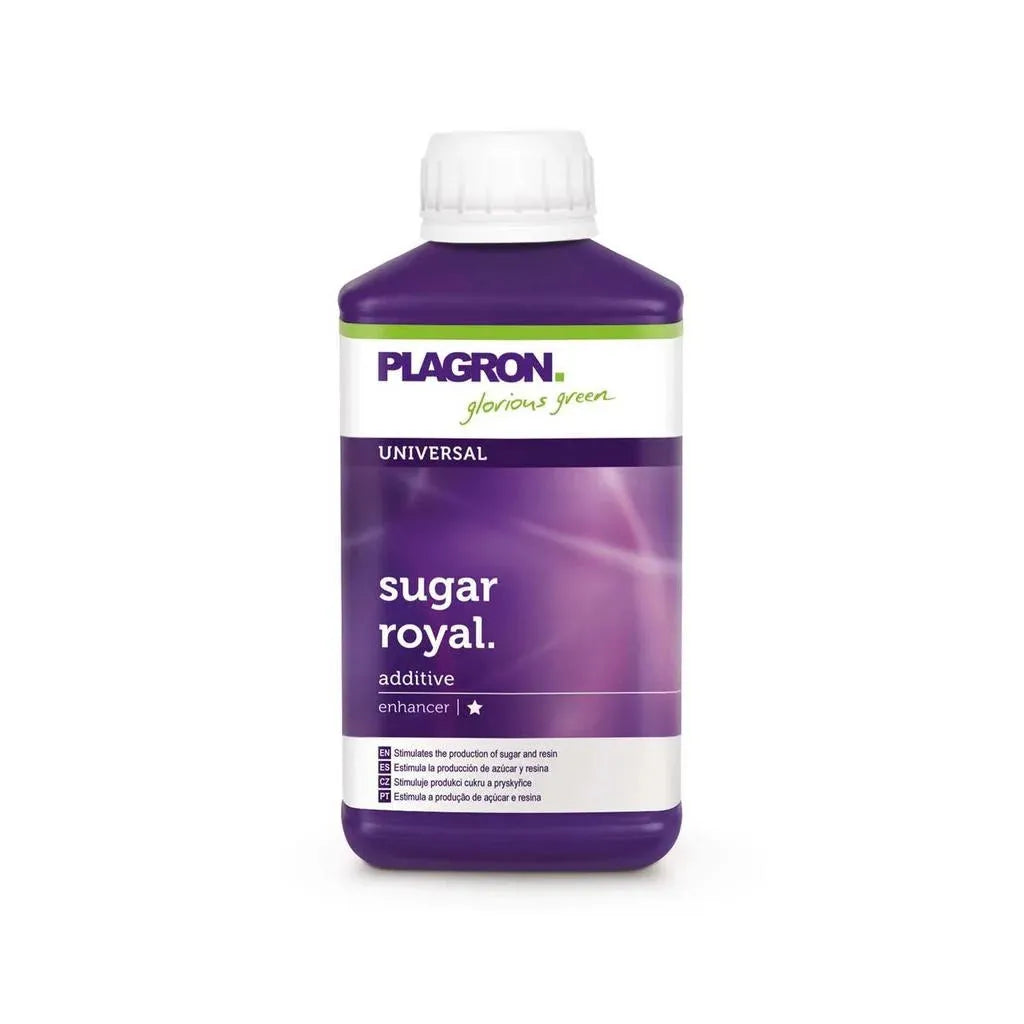 Sugar Royal