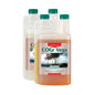 Canna GOGr Vega A+B