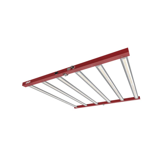 Ralight | LED Kweeklamp | 720W | 100x100cm